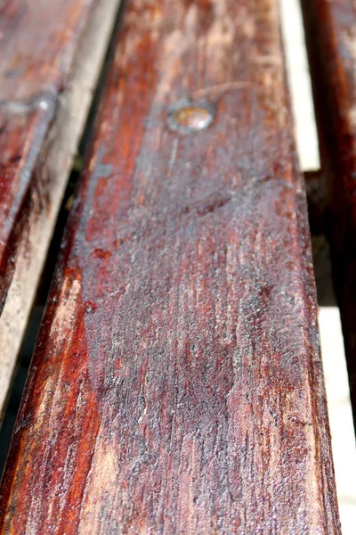 Banc Bois Dans Parc Été — Photo