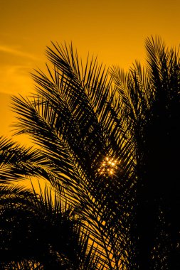 Güneş deniz, gün batımı, peyzaj üzerinde