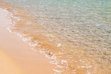 kumsal deniz, peyzaj