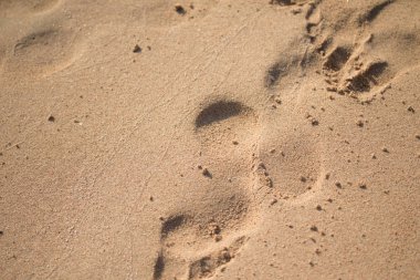 kum, deniz plaj ayak izleri