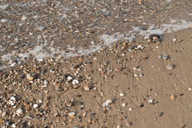 Çakıl Plajı, deniz kıyısı görünümü