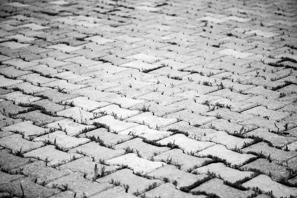 Old Paving Stones Background — Stock Photo, Image