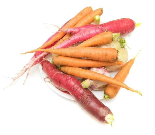 Carrot Radish White Background — Stock Photo, Image