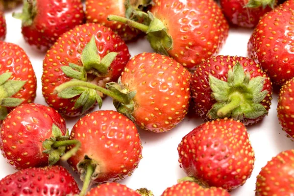 Reife Erdbeeren Isoliert Auf Weißem Hintergrund — Stockfoto