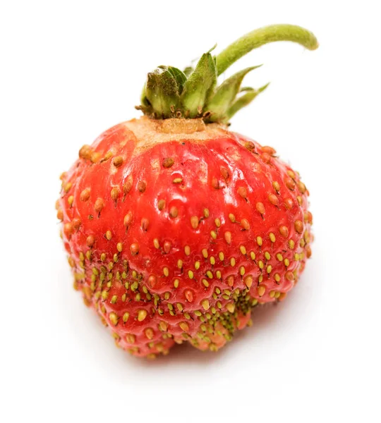 成熟的草莓在白色背景上孤立 — 图库照片