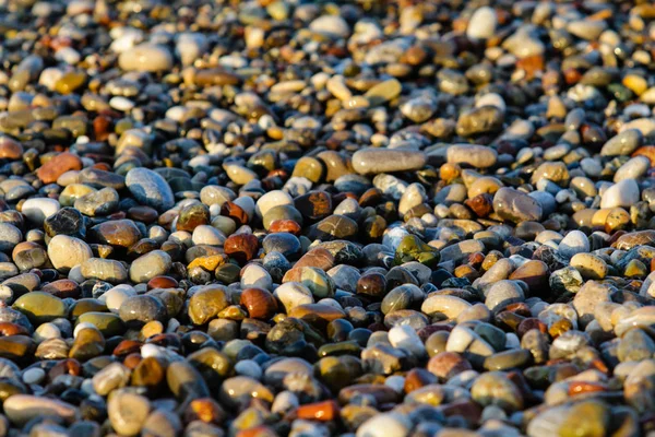 ウェットの丸い小石の背景 — ストック写真