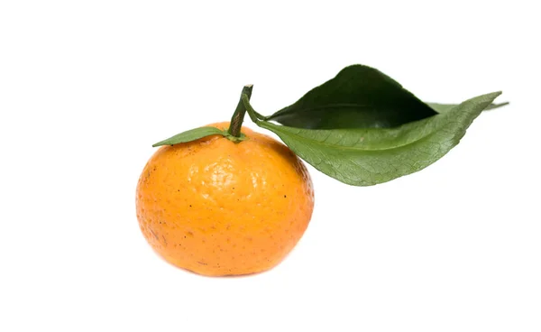 Tangerine Pada Latar Belakang Putih Terisolasi — Stok Foto