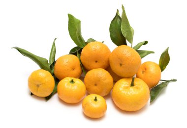 mandalina izole beyaz bir arka plan üzerinde