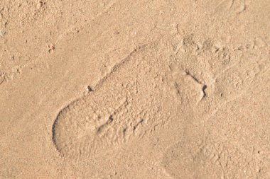 kum, deniz plaj ayak izleri