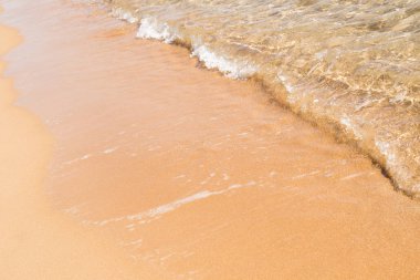 kumsal deniz, peyzaj