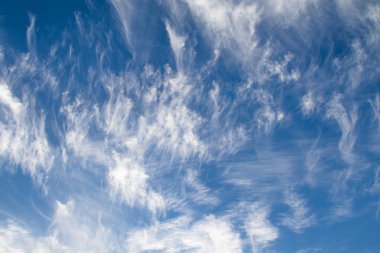 Mavi gökyüzünde sirus bulutları