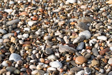 Çakıl Plajı, deniz kıyısı görünümü