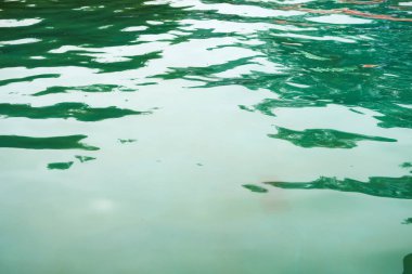 su yüzeyi bir nehir arka planda