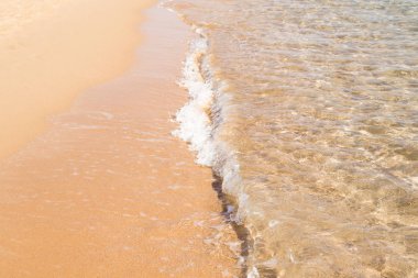 kumsal deniz, peyzaj