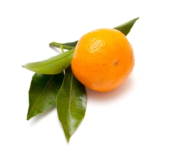 Tangerine Pada Latar Belakang Putih Terisolasi — Stok Foto