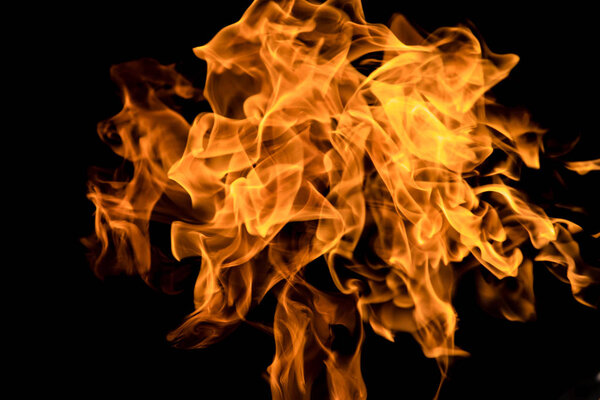 Fire flames on a black background