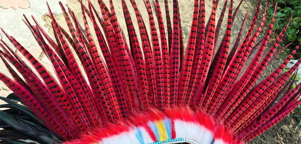 headdress of Indians with bright feathers