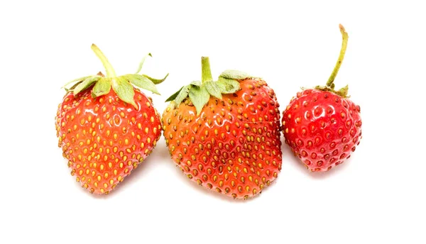 Fresas Maduras Aisladas Sobre Fondo Blanco —  Fotos de Stock