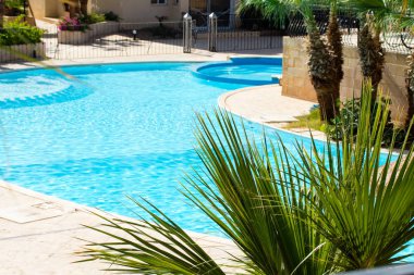 Palma havuzu yaz manzara