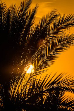 Güneş deniz, gün batımı, peyzaj üzerinde