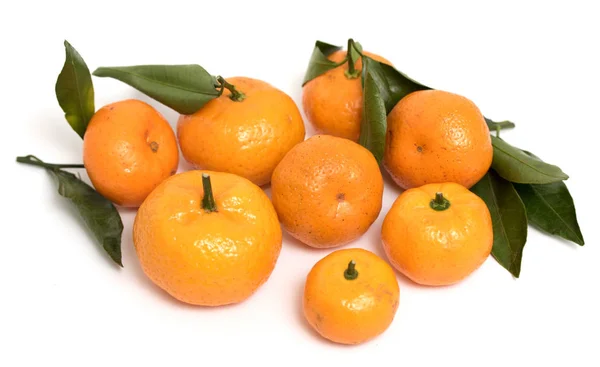 Mandarini Uno Sfondo Bianco Isolato — Foto Stock