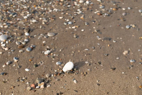 Çakıl Plajı, deniz kıyısı görünümü