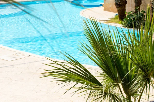 Palma havuzu yaz manzara