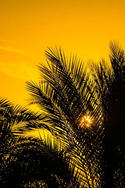 Sonne Über Dem Meer Sonnenuntergang Landschaft — Stockfoto