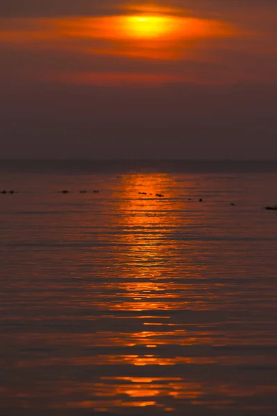 Aurinko Meren Yli Auringonlasku Maisema — kuvapankkivalokuva