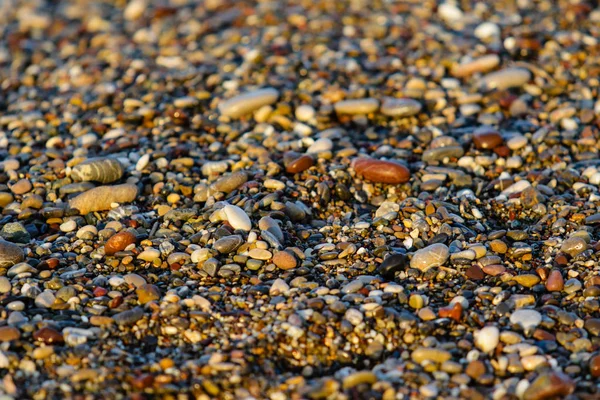 ıslak yuvarlak çakıl arka plan