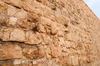 Eski duvar kireçtaşı Mimarlık