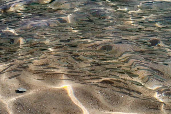 Banyak Ikan Kecil Berenang Laut — Stok Foto