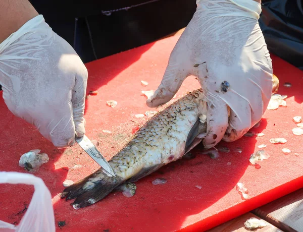 Rengöring Fisk Med Kniv Tabell — Stockfoto