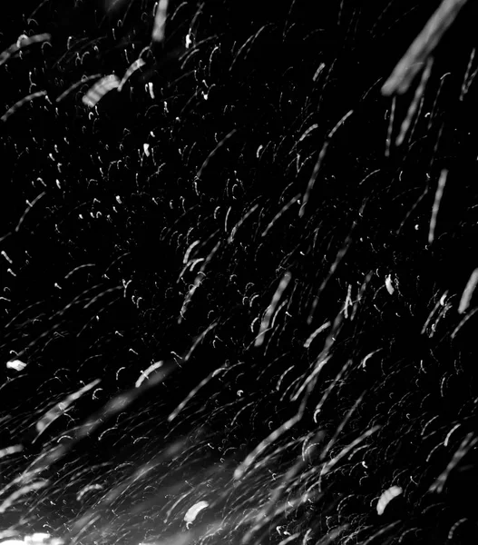 Nieve Ventisca Sobre Fondo Negro — Foto de Stock