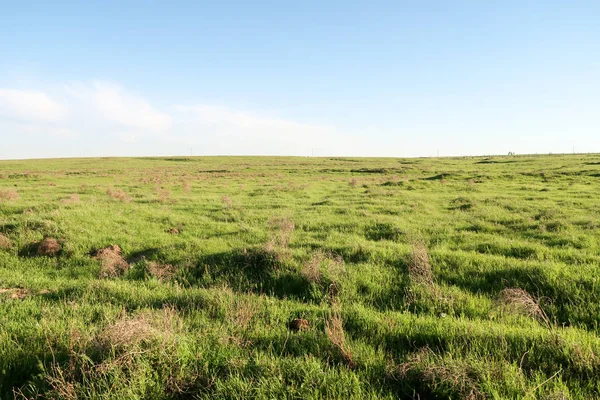 Landschaft Kalt Mit Grünem Gras Und Himmel — Stockfoto