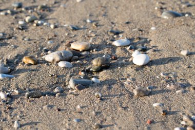 Çakıl Plajı, deniz kıyısı görünümü