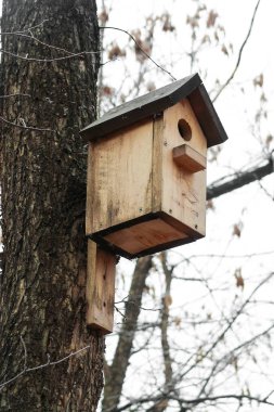kuş besleyici parkta, sonbahar