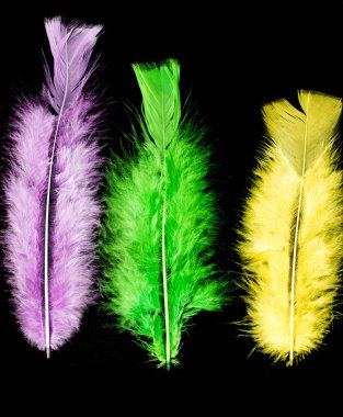 siyah bir arka plan üzerinde renkli kuş tüyü