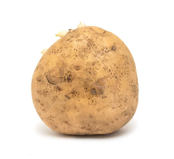 Ekologisk Potatis Isolerad Vit Bakgrund — Stockfoto