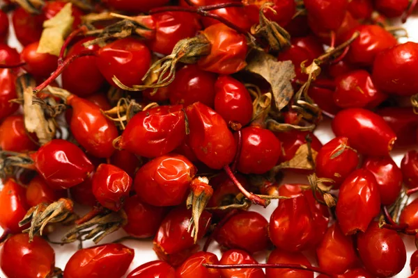 Rote Briar Beeren Auf Weißem Hintergrund — Stockfoto