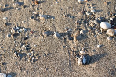 Çakıl Plajı, deniz kıyısı görünümü