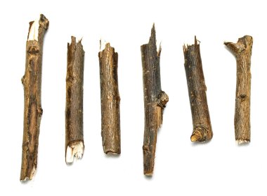 Kuru dallar üzerinde beyaz arka plan izole