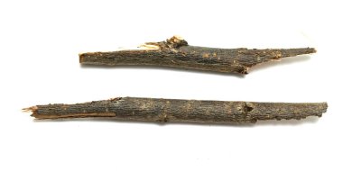 Kuru dallar üzerinde beyaz arka plan izole