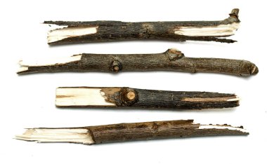 Kuru dallar üzerinde beyaz arka plan izole