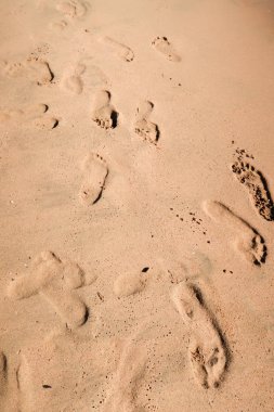 kumlu deniz plaj, peyzaj