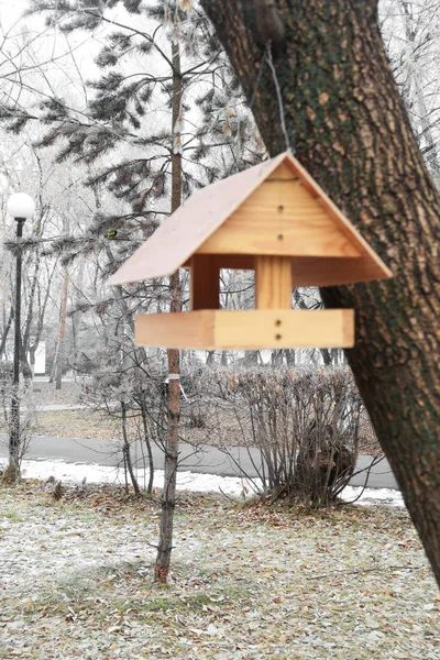 Vogelhuis Waterbak Het Park Herfst — Stockfoto