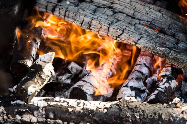 Вугілля Вогні Спалює Дерево — стокове фото