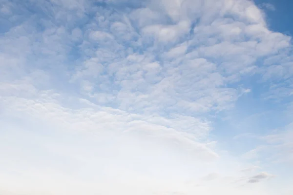 Mavi Gökyüzü Arka Planında Sirus Bulutları — Stok fotoğraf