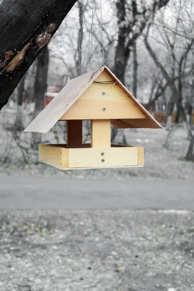 Mangiatoia Uccelli Nel Parco Autunno — Foto Stock
