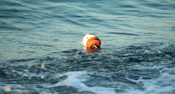 Buoys Water Sea Beach — Stock Photo, Image